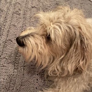 Meet your Posher, Ana